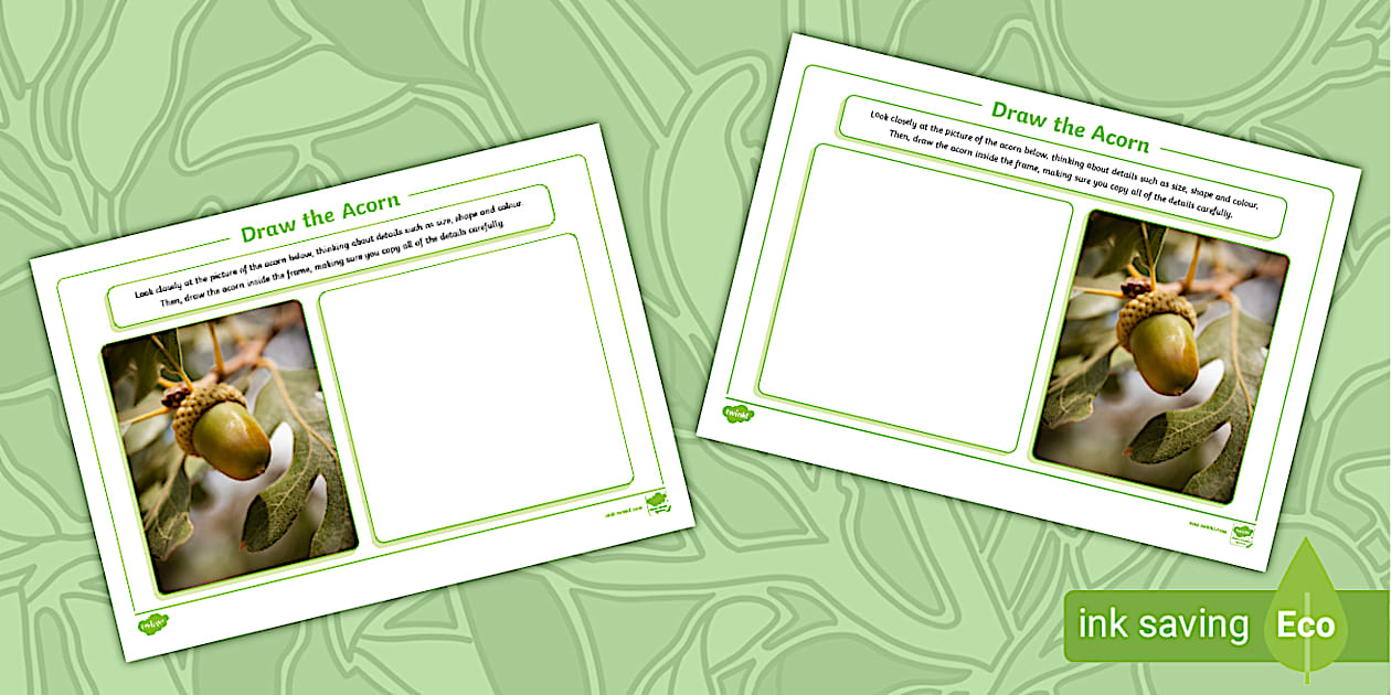 How to Draw an Acorn Worksheet (teacher made) - Twinkl