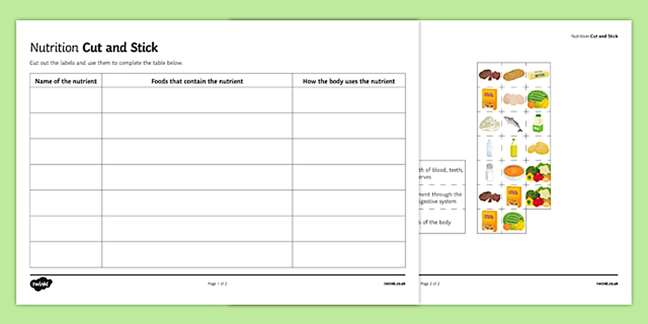Nutrition Cut and Stick Worksheet / Worksheet, worksheet, plenary activity