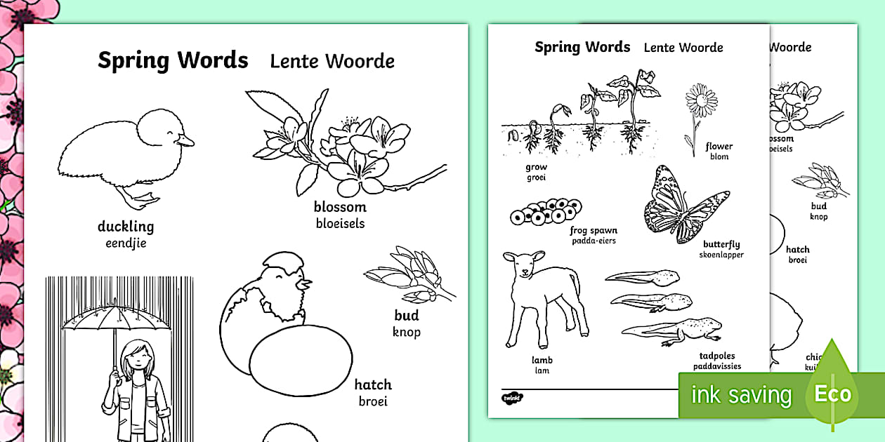 Spring Activity Pages | English/Afrikaans Colouring Pages