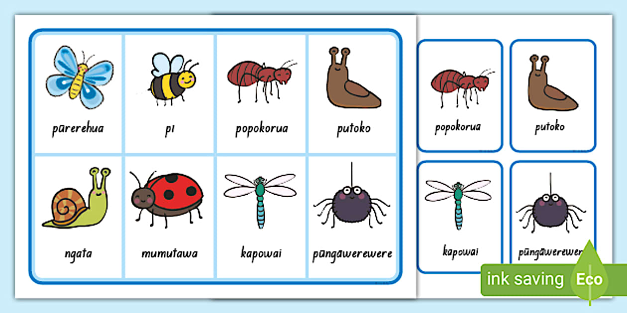 Minibeasts Matching Cards and Board Game Te Reo Māori