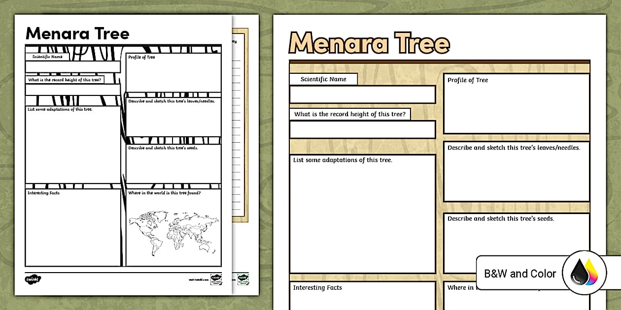 Menara Tree Research Organizer for 6th-8th Grade - Twinkl