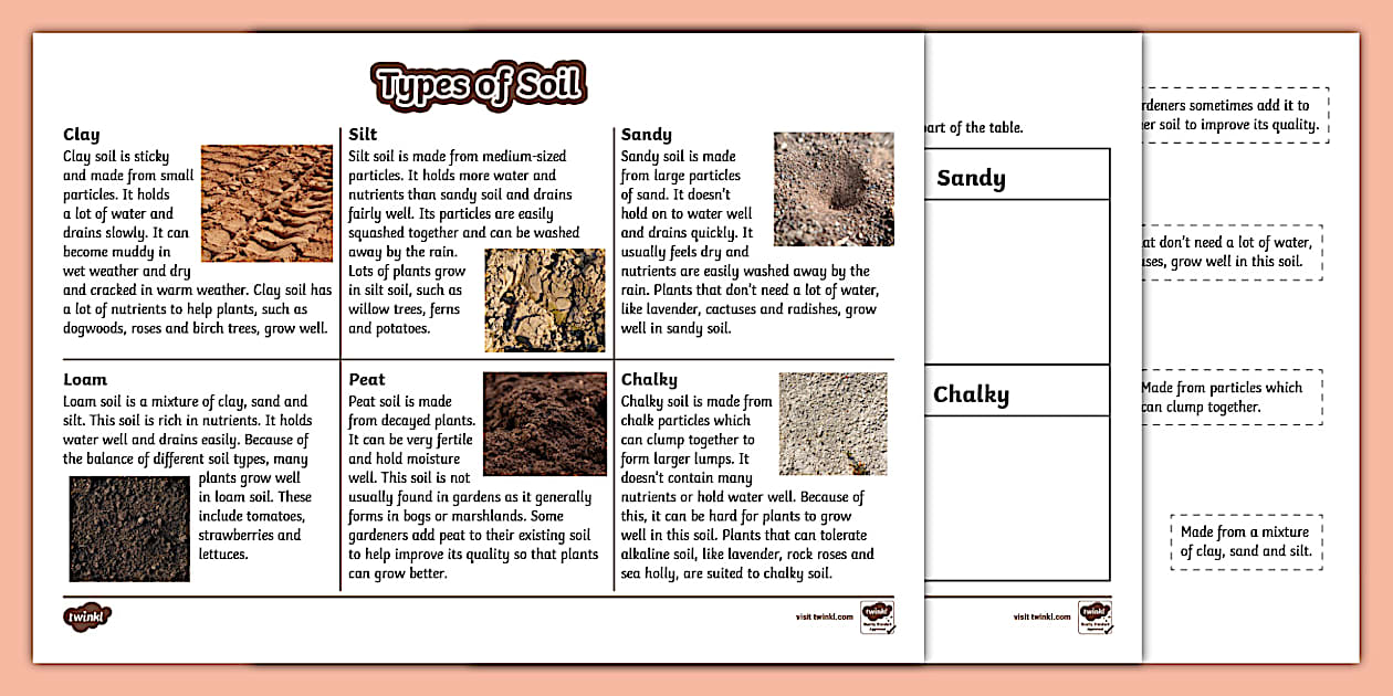 Types of Soil Facts and Activity Sheet - Twinkl - KS2