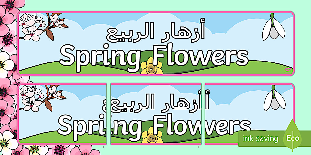 Spring Flowers Display Banner Arabic/English - Twinkl