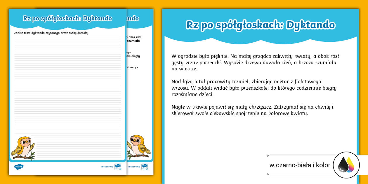 s-wka-ortografka-rz-po-sp-g-oskach-dyktando