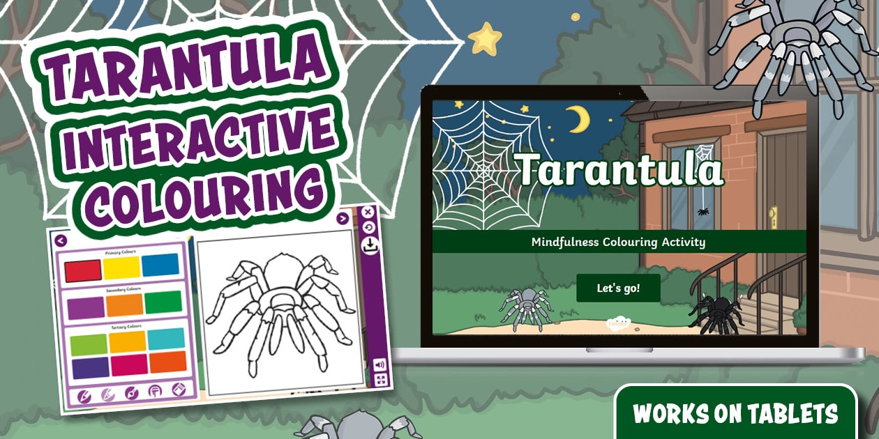 Foundation Phase Life Skills - Tarantula - Interactive Colouring (CAPS
