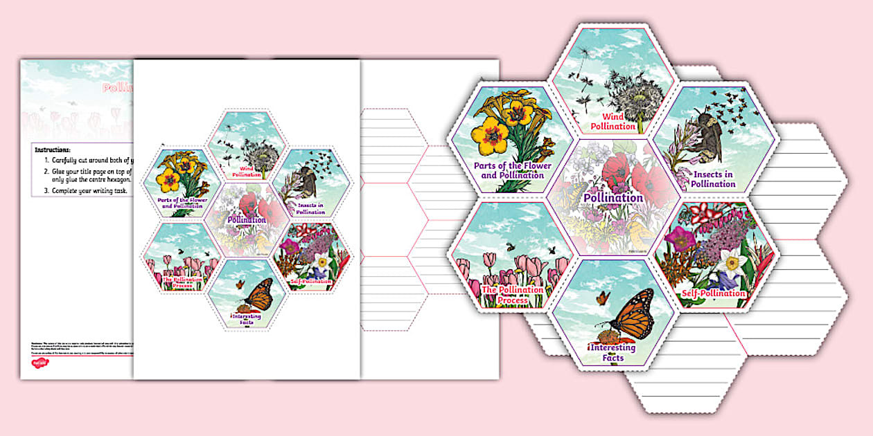 Pollination Hexagon Writing Template (teacher made) - Twinkl