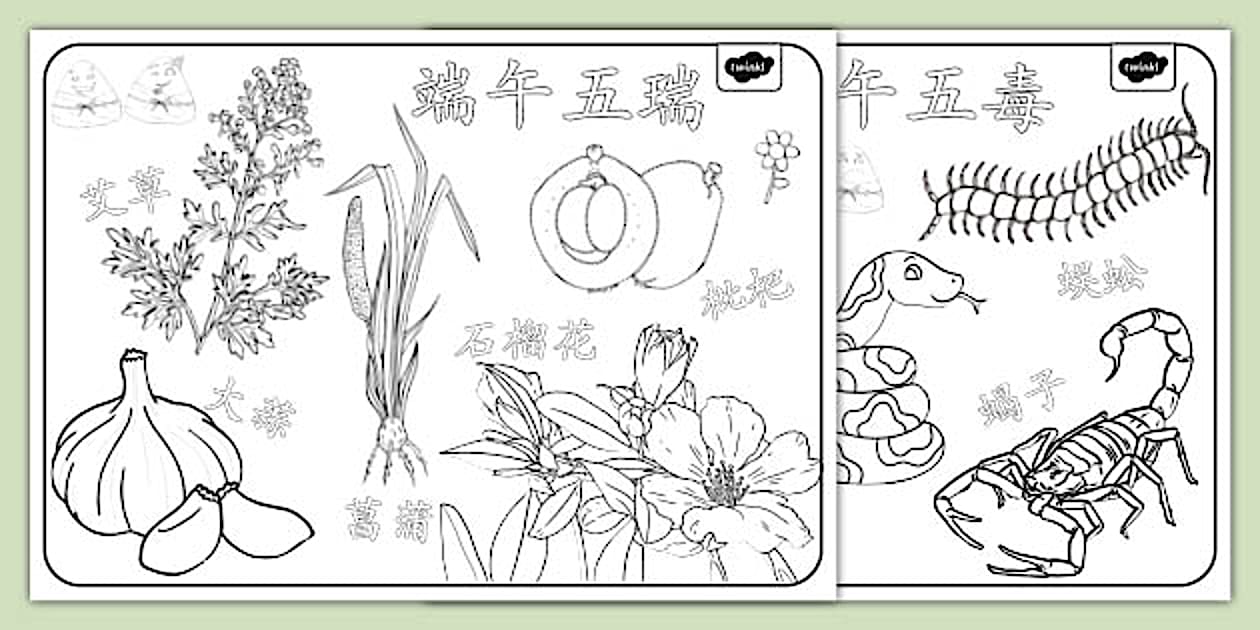 端午节五瑞五毒涂色练习 (teacher made) - Twinkl
