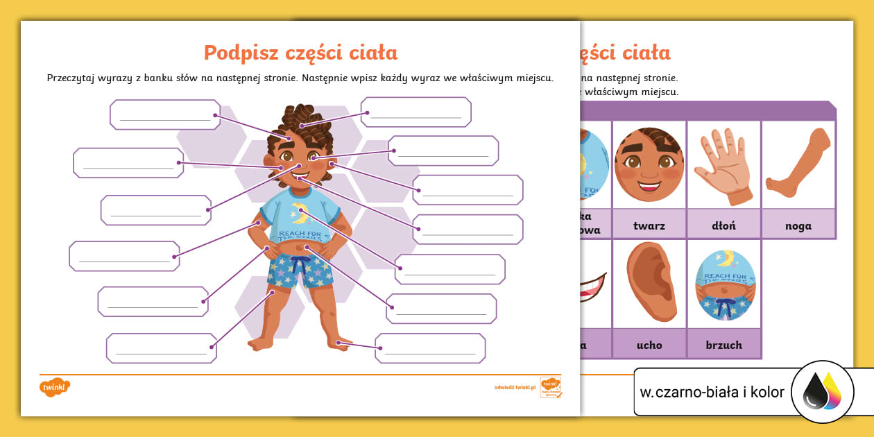 Książeczki Twinkl: Ciało człowieka | Podpisz części ciała | Karta pracy