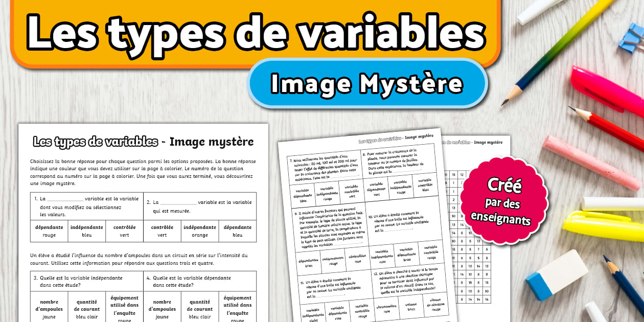 Types of Variables Mystery Picture French