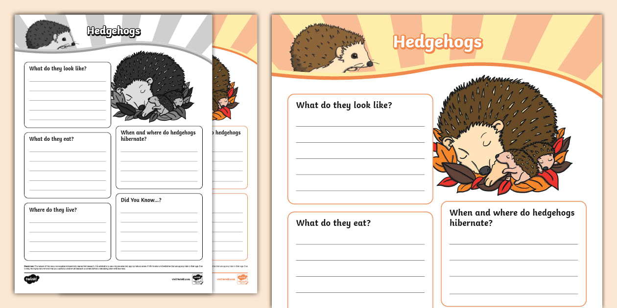 Hedgehog Fact File Template (teacher made) - Twinkl