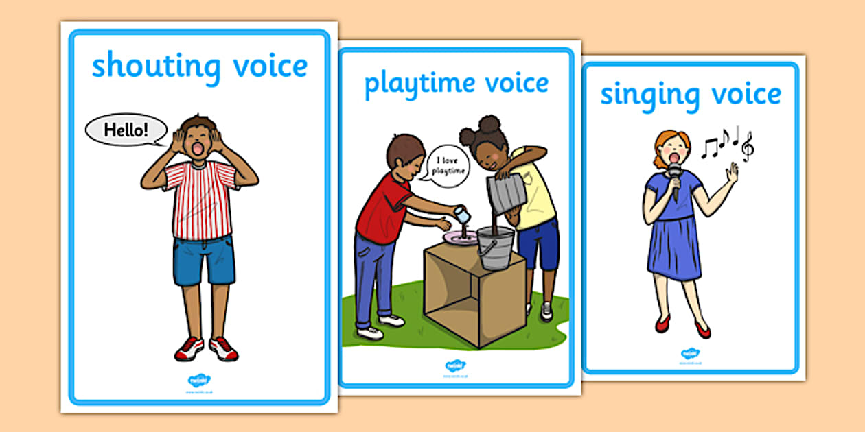 Types of Voice Display Posters (teacher made) - Twinkl