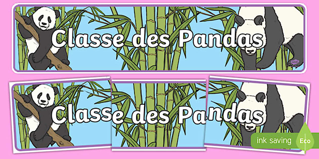 Classe des Pandas (teacher made) - Twinkl