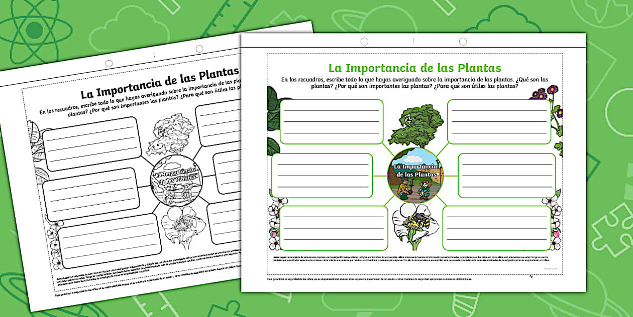 Mapa Conceptual: La Importancia de las Plantas - Twinkl