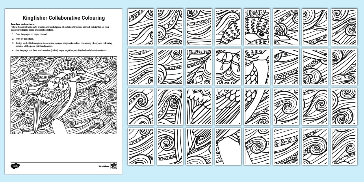 Kingfisher Collaborative Colouring (teacher made) - Twinkl