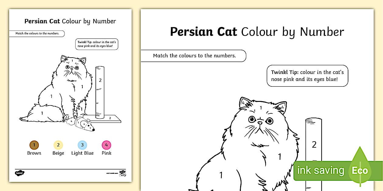 Persian Cat Colour by Number Activity | Twinkl Colouring