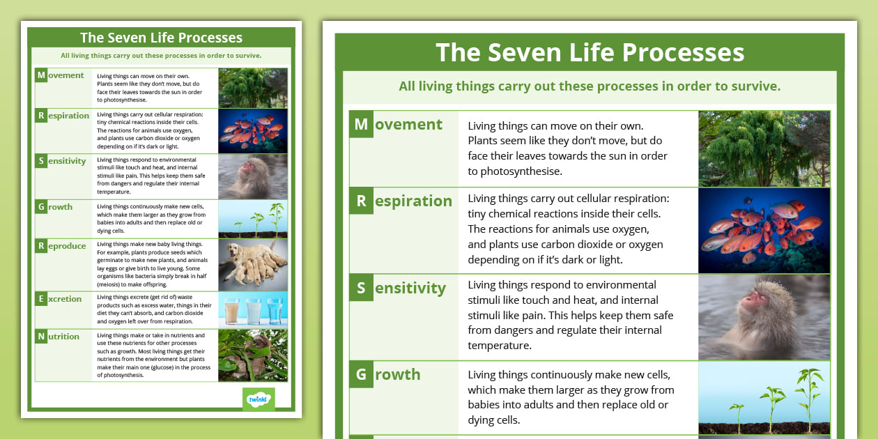 The Seven Life Processes Explainer Poster