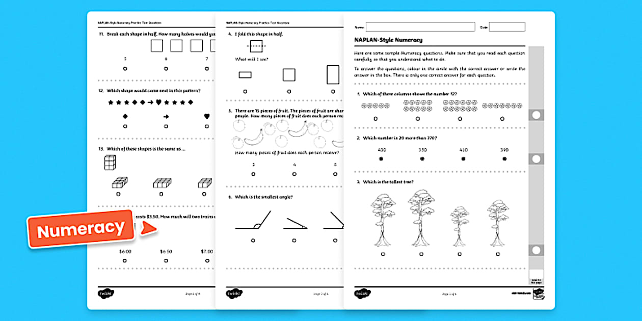 Year 3 NAPLAN-Style Interactive PDF Practice Test - Set 1