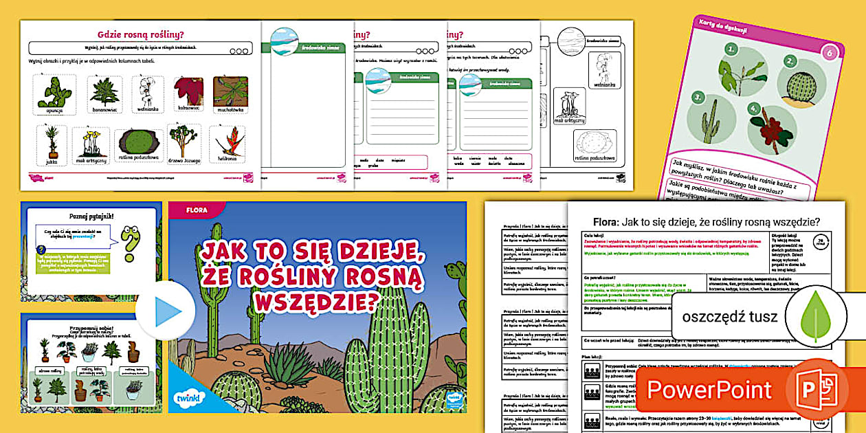 Rośliny rosną (prawie) wszędzie! | Lekcja z konspektem