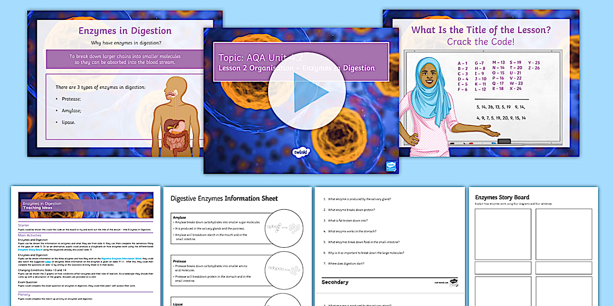 AQA Biology Unit 2 Enzymes in Digestion Cover Lesson Pack