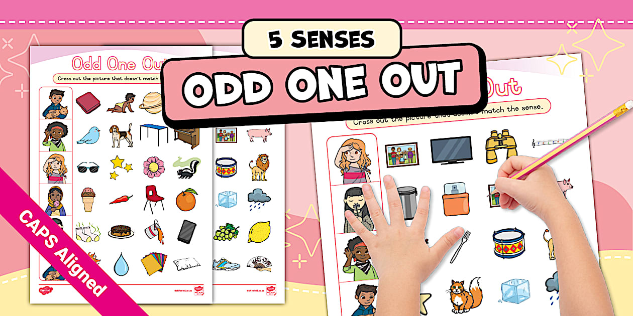 Five Senses - Activity Sheet: 5 Senses Matching Activity
