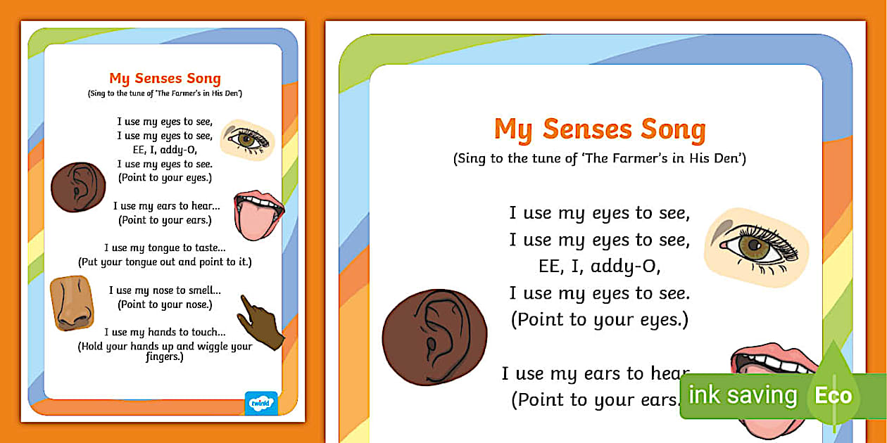 5 Senses Song For Preschool (Hecho por educadores) - Twinkl