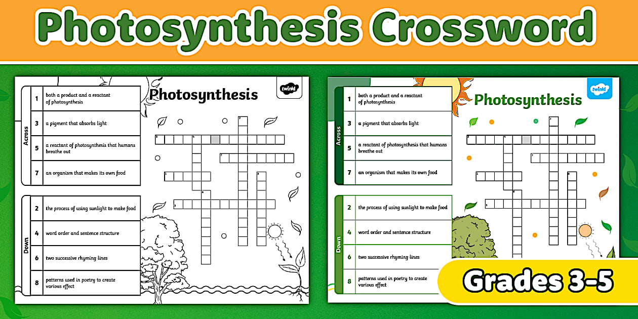Photosynthesis Crossword for 3rd-5th Grade