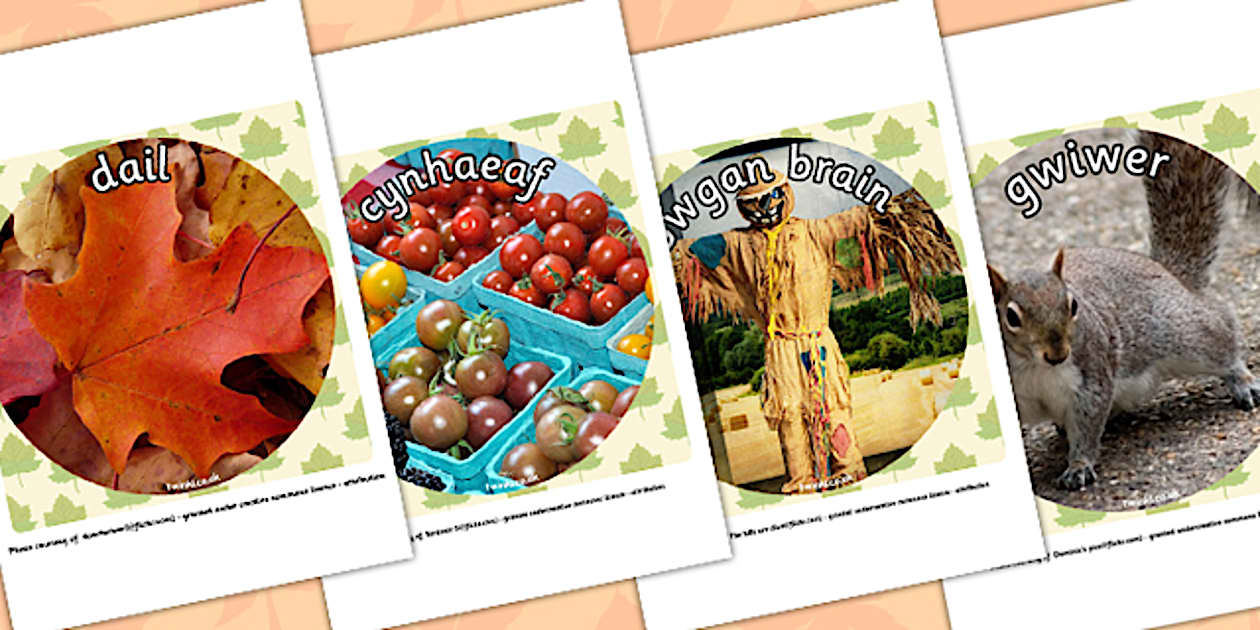 Ffotograffau 'Yr Hydref' (teacher made) - Twinkl