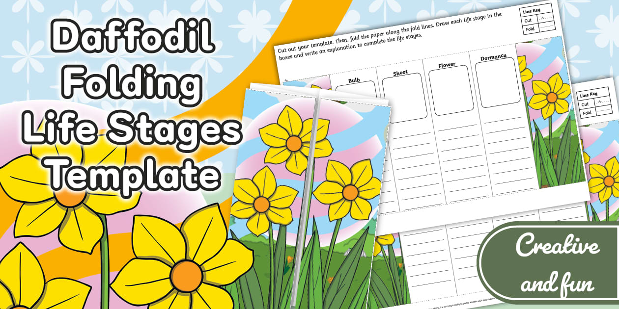 Daffodil Folding Life Stages Template