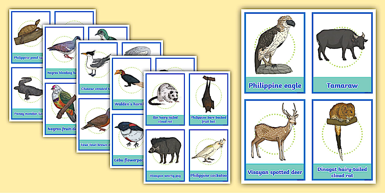 Critically Endangered Philippine Animals Flashcards | Grades 2 - 6 ...