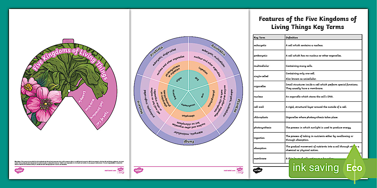 Features of the Five Kingdoms of Living Things Wheel