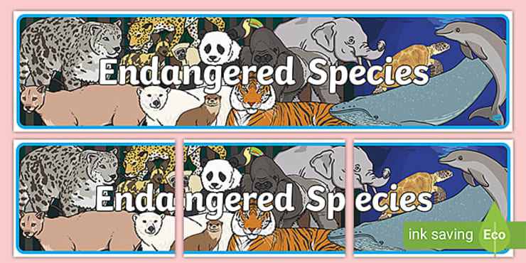 Endangered Species Day 2023 | Twinkl - Twinkl
