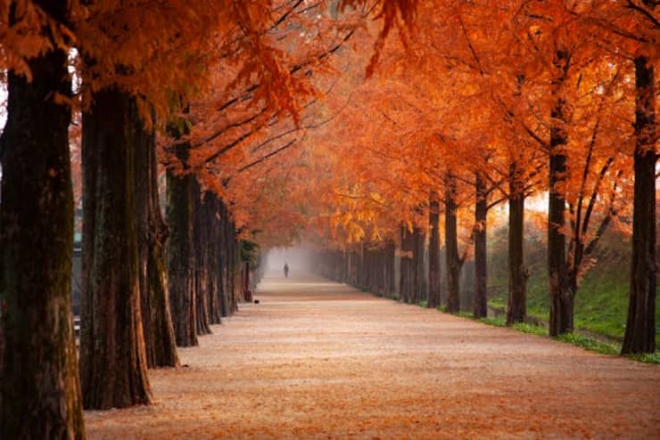 Equinoccio de otoño en el hemisferio sur - Twinkl