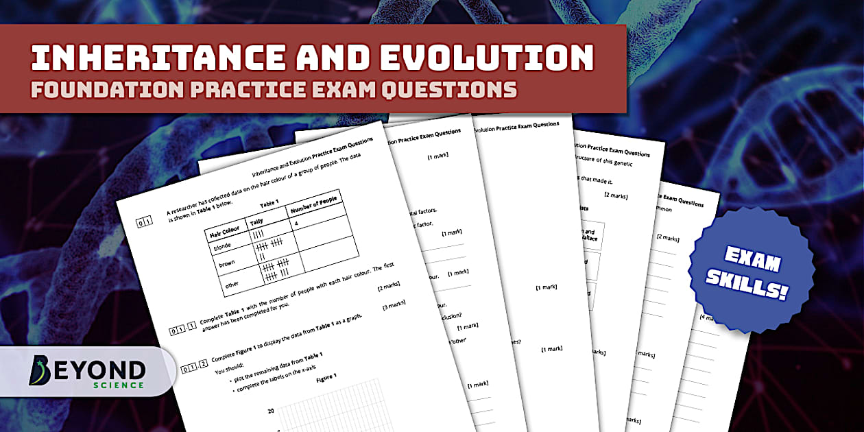 KS3 Inheritance and Evolution Foundation Practice Questions