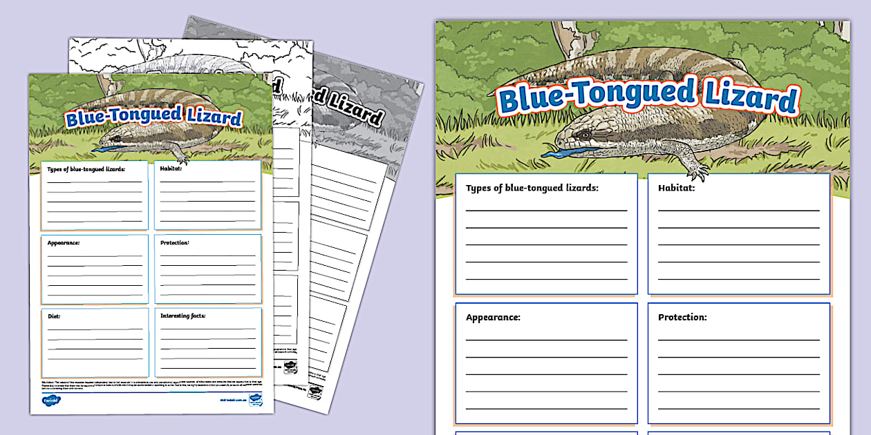 Lizard Knowledge Blue-Tongued Lizard Fact File Template - Science - Twinkl