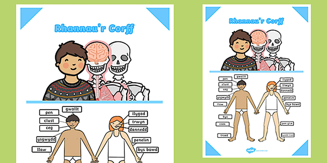 Parts of the Body Welsh Poster | Twinkl Resources | Wales