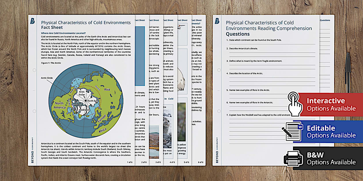 Cold Environments Reading Comprehension Questions - Twinkl