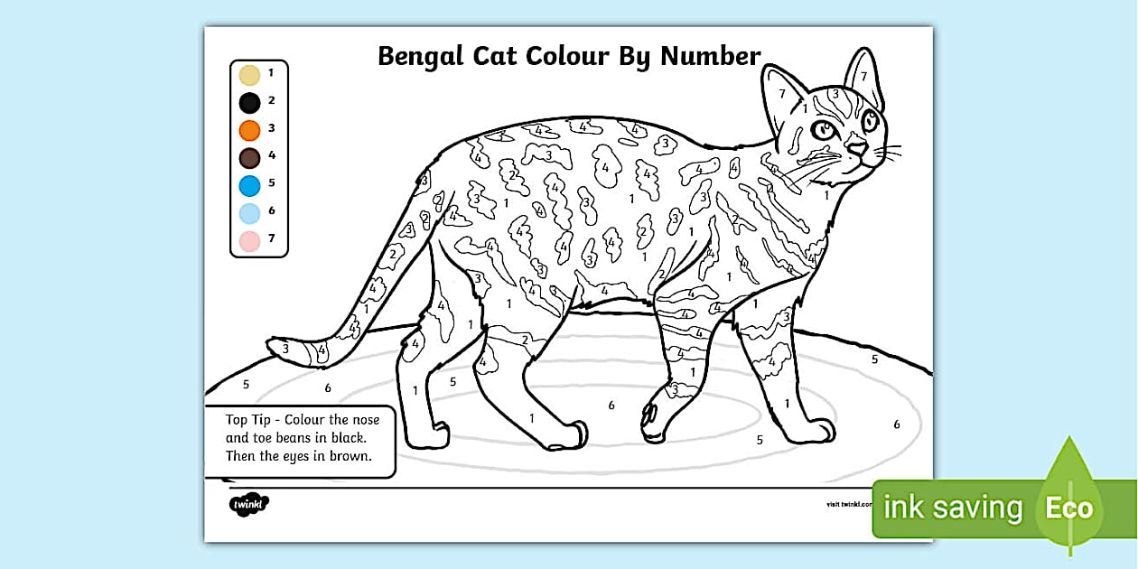 Bengal Cat Colour-by-Number Worksheet | Twinkl | KS1