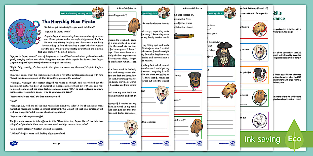 A Pirate's Life For Me: Focused Reading Skills Comprehension Pack