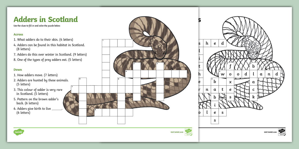 Adders in Scotland Crossword Puzzle (teacher made) Twinkl