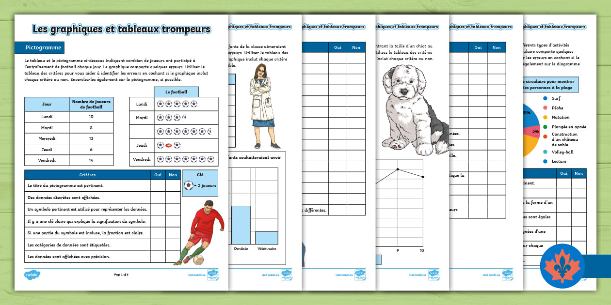 Misleading Graphs and Charts Activity Sheets French