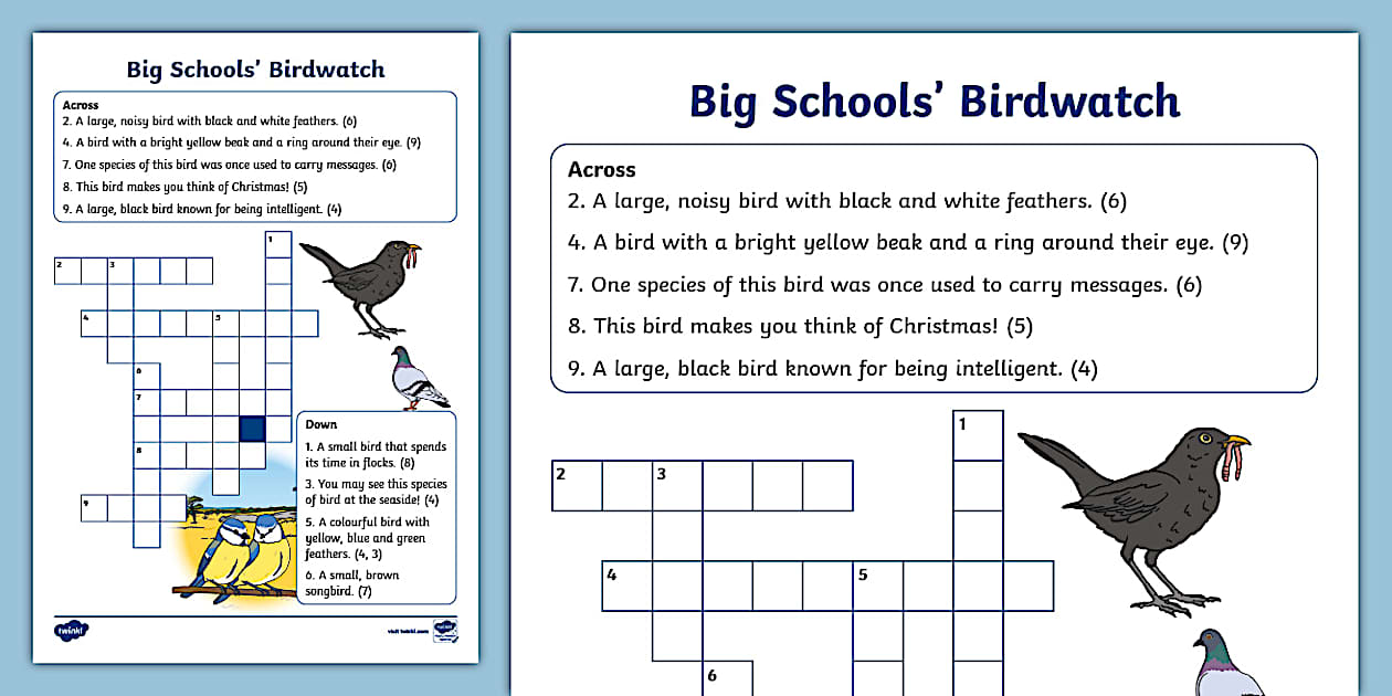 Big Schools #39 Birdwatch Crossword Twinkl KS1 Twinkl