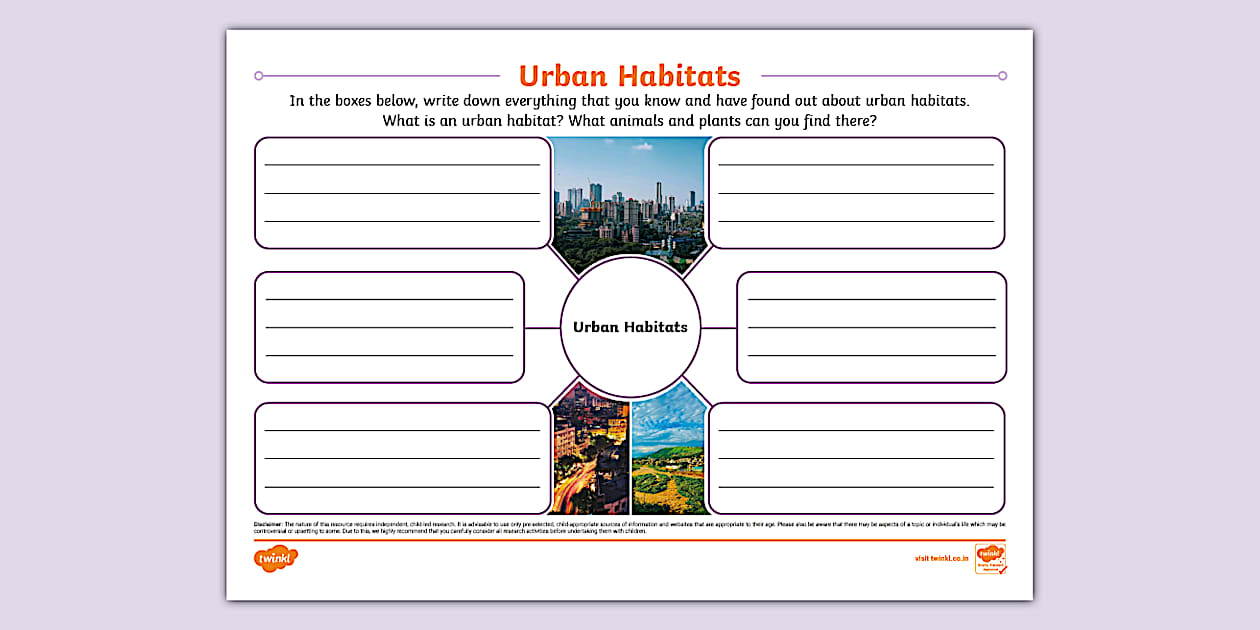 Urban Habitats Mind Map (teacher made) - Twinkl