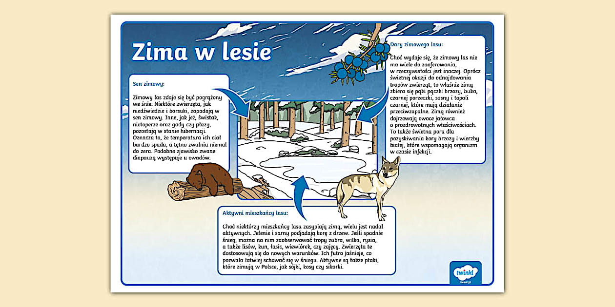 Sprawdzian Z Kl Ii Edukacja Przyrodnicza Zima Zima w lesie | Edukacja przyrodnicza | Plakat informacyjny