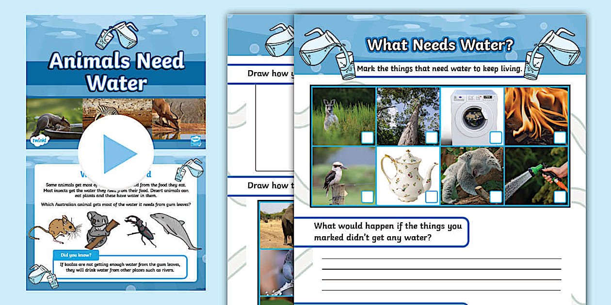 Animals Need Water PowerPoint