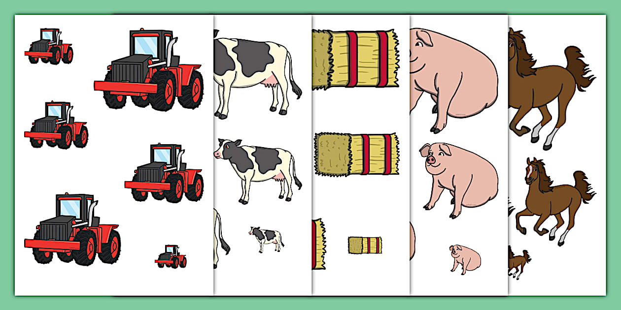 Farm-Themed Size Ordering Cut-Outs | Twinkl