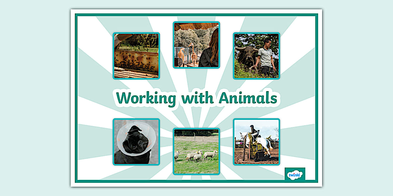 Working with Animals Photo Display Poster (Teacher-Made)