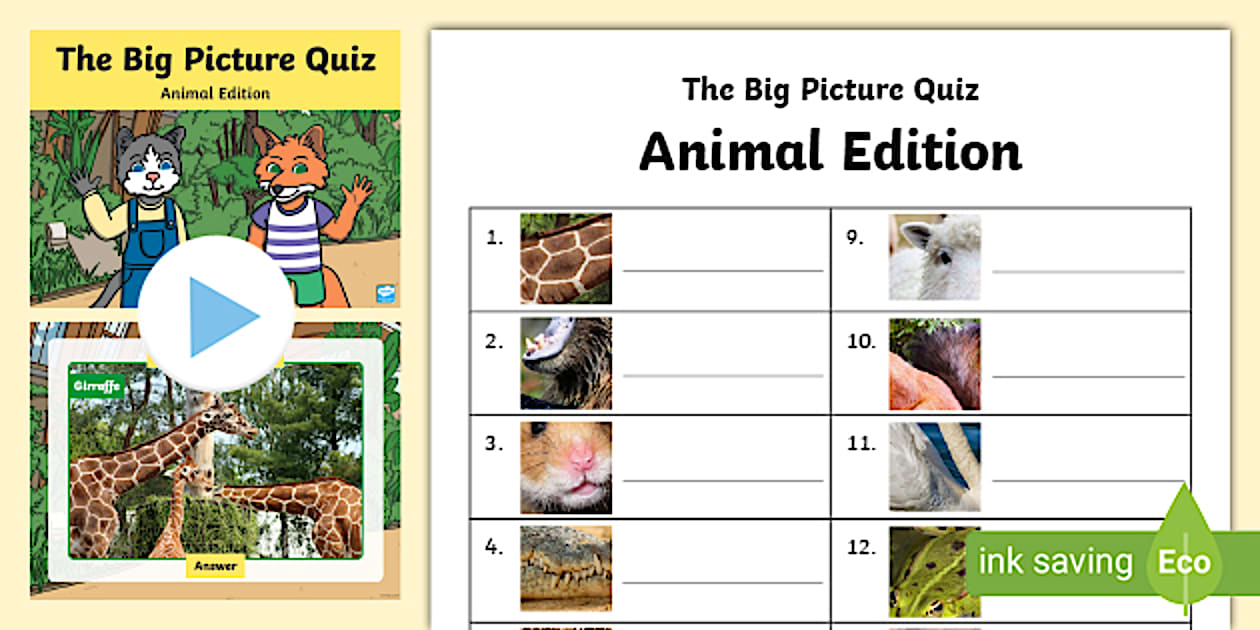 Spectacular Animal Quiz Questions Picture Collection