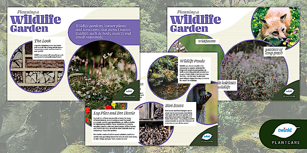 Planning A Wildlife Garden Plant Suggestions Garden Plan Photo Inspiration
