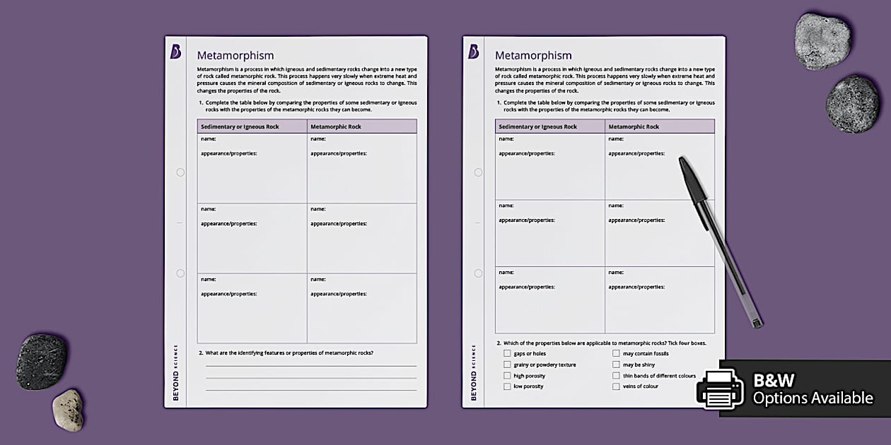 Metamorphosis Math Metamorphism Worksheet