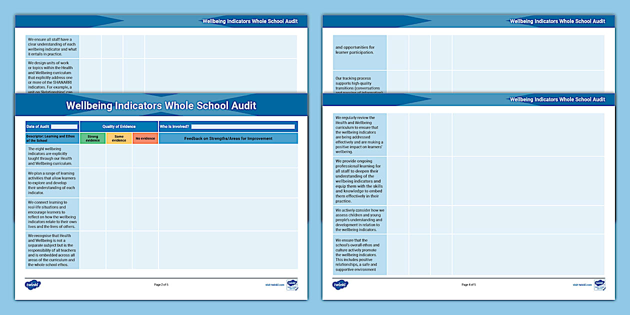 Wellbeing Indicators Whole School Audit (teacher made)